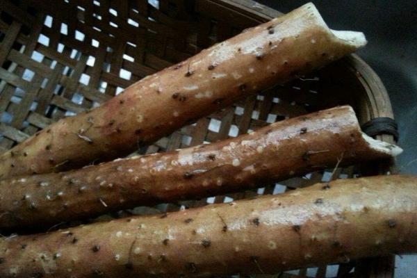 淮山种植技术与管理,附施肥方法