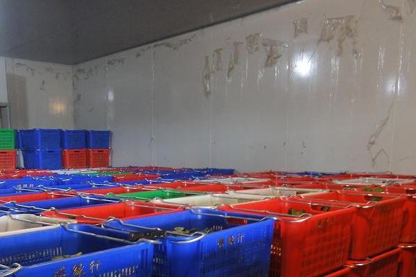 冷库储存蔬菜利润多大?一般能储多长时间?