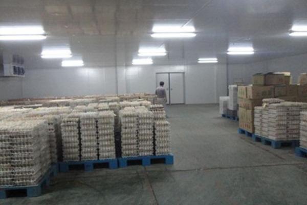 冷库储存蔬菜利润多大?一般能储多长时间?