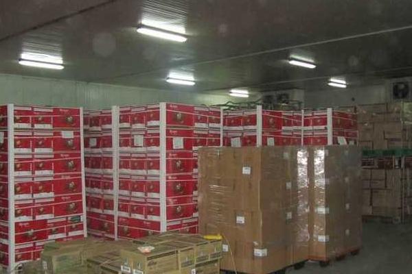 冷库储存蔬菜利润多大?一般能储多长时间?