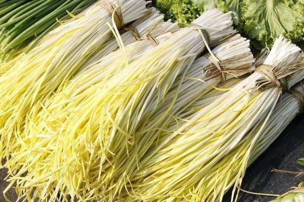 韭黄最简单种植方法,韭黄是怎么种出来的