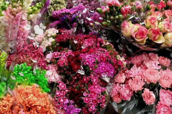 买花送的速效复合肥是真是假?怎么用?