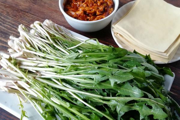 黄花苗怎么吃好吃,附黄花苗的功效与作用