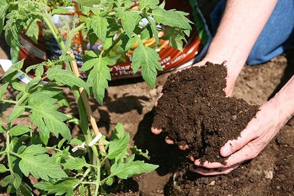 有机肥怎么这么难卖?为什么越来越多人不再用有机肥了?