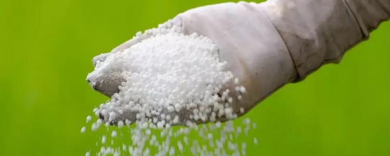 正确施用磷肥的方法，附注意事项