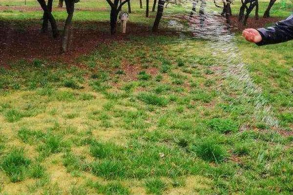 正确施用磷肥的方法,附注意事项