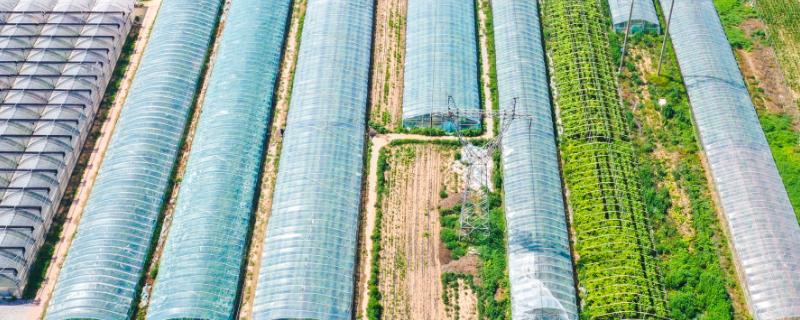 家庭农场的认定标准，土地经营规模需超过30公顷