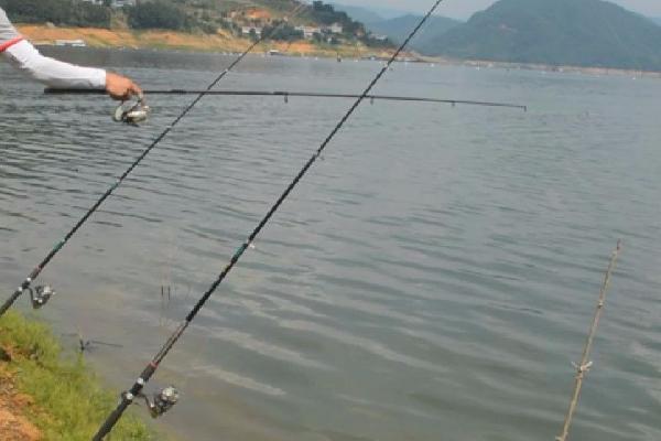 初春能否在水库中钓鱼，出钓时间可选在午饭前后