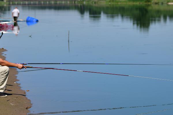 春季钓草鱼用什么饵,甜味饵料是适宜选择